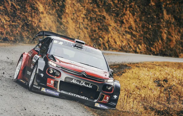 Auto, Sport, Machine, Race, Citroen, The hood, Citroen, Lights