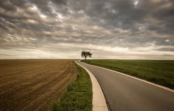 Road, field, tree, storm, gray clouds