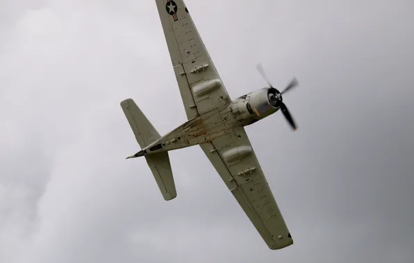 Picture Douglas A-1, "Skyraider", Douglas A-1, Skyraider; American attack