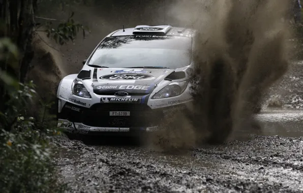 Ford, Squirt, WRC, Rally, Fiesta
