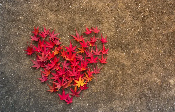 Autumn, leaves, love, heart, love, heart, wood, background