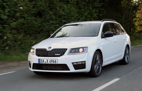 White, vegetation, Skoda, universal, 2013, Skoda, Octavia Combi RS