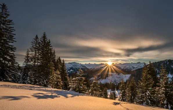 Wallpaper winter, light, snow, trees, sunset, mountains