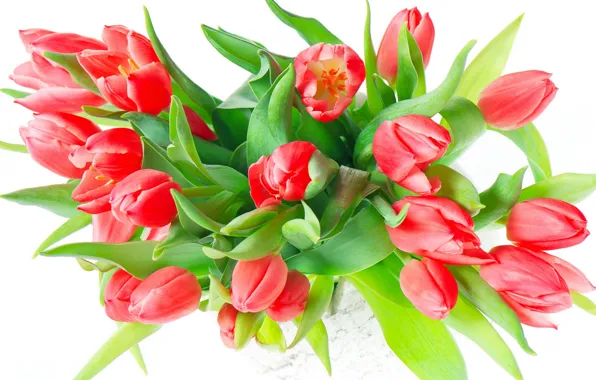 Bouquet, spring, tulips