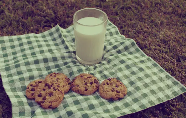 Picture glass, milk, cookies, picnic