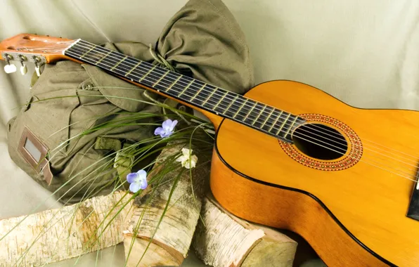 Flowers, background, romance, guitar, backpack, logs