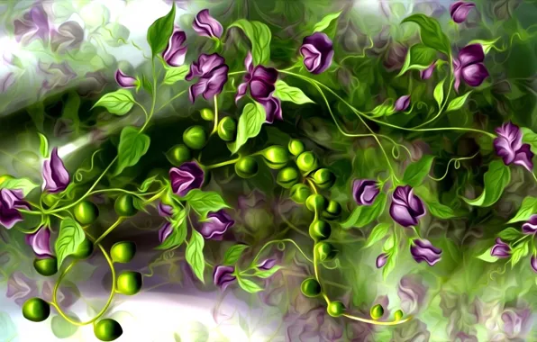 Leaves, flowers, rendering, stems, plant, picture, chickpeas, hummus