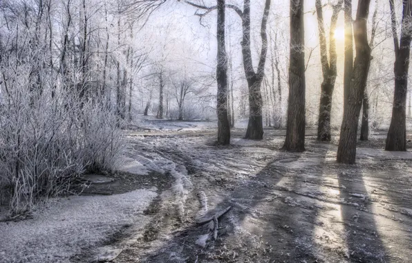 Ice, winter, frost, road, the sun, snow, trees, HDR