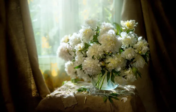 Picture light, flowers, bouquet, window, Bank, white, still life, curtains