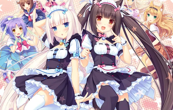 Picture look, joy, girls, neko, ears, art, chocolat, heterochromia