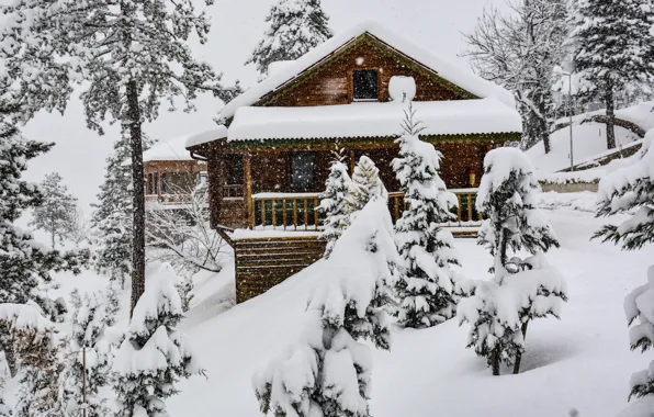 Nature, Snow, House, House, Nature, Snow, Winter Forest, Winter Forest
