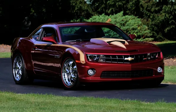Chevrolet, Camaro, Super, Nickey