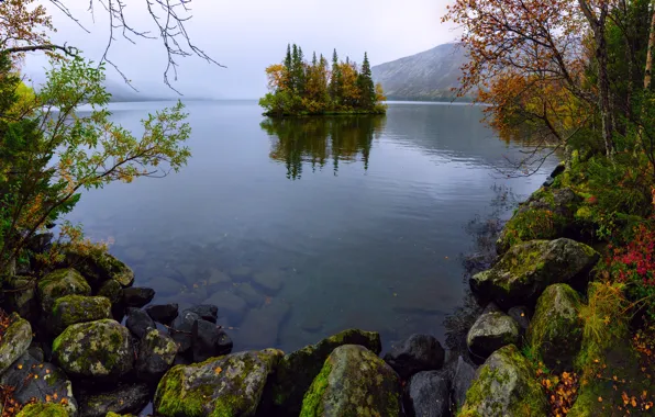 Picture trees, mountains, fog, stones, island, Seidozero