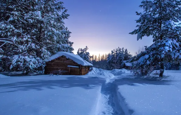 Winter, snow, night, trail, houses