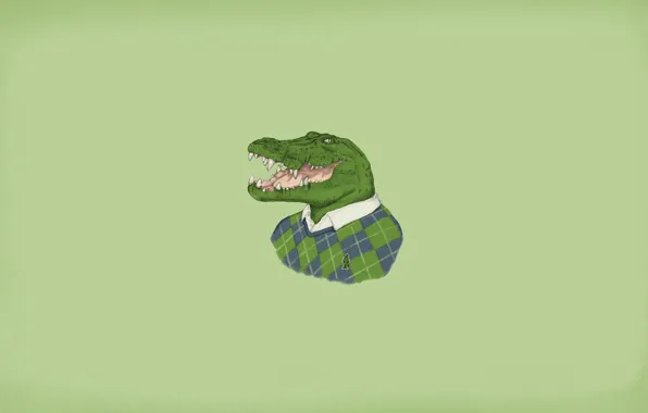 Picture crocodile, sweater, alligator, lacoste, it's in the fabric, blondiegbg