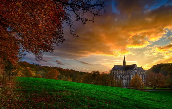 Picture field, autumn, trees, Germany, Cathedral, Altenberg, Altenberger Dom