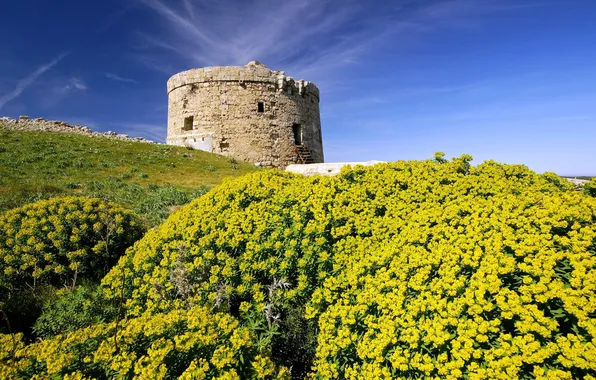 Flowers, tower, hill, Spain