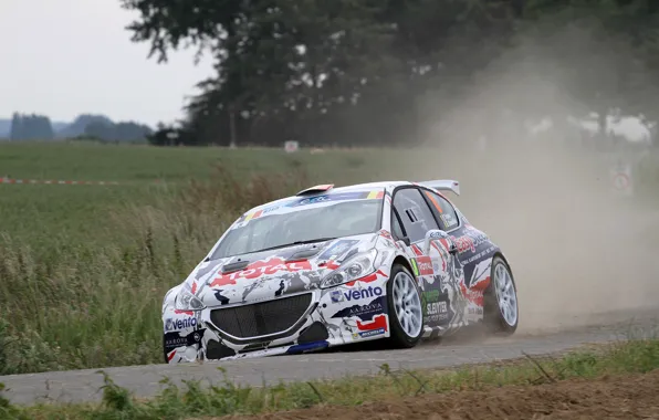 Grass, Dust, Peugeot, Rally, 208, T16, ERC
