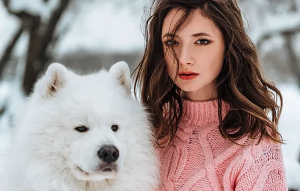 Girl, long hair, brown hair, photo, photographer, dog, blue eyes, model