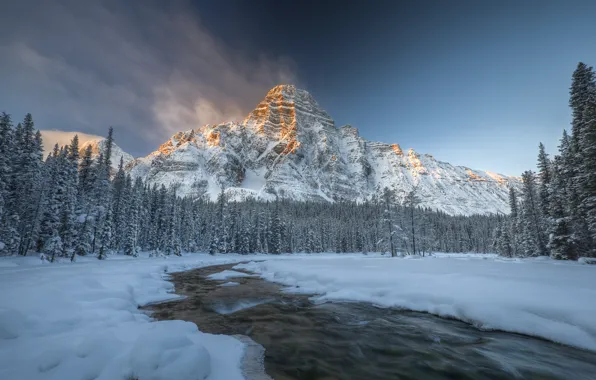 Winter, forest, snow, river, Canada, Albert, Banff national Park, Mount Chephren
