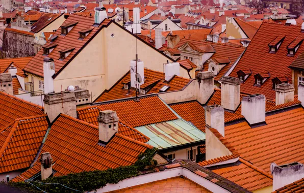 The city, old, Prague, Czech Republic, the roofs of the houses