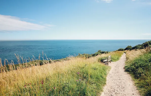 Sea, the sky, grass, water, trail, horizon, shop, shop