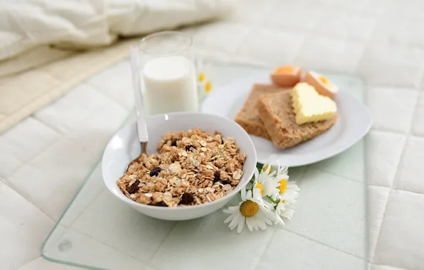 Chamomile, Breakfast, milk, bread, muesli