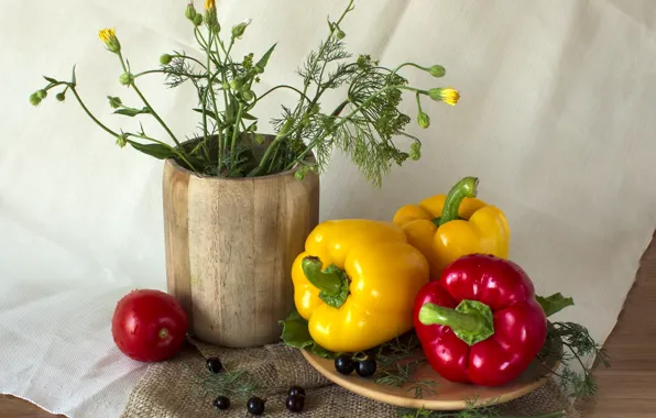 Food, still life, vegetables, pepper, still life on a rural theme