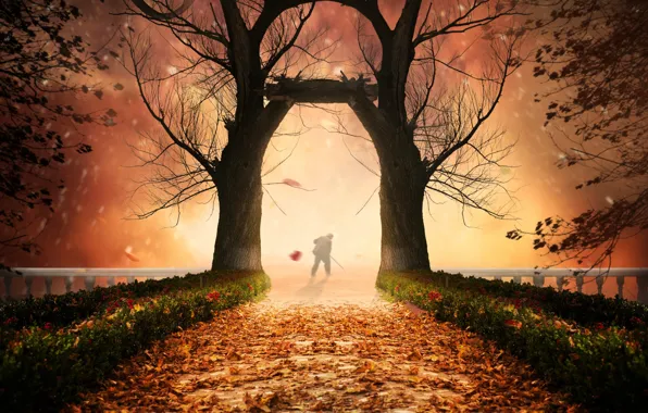 Autumn, trees, foliage, people, photoshop, the bridge