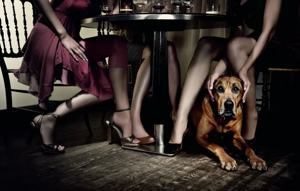 Girls, dog, Table, restaurant