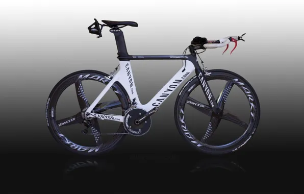 Picture bike, sport, canyon, mountain bike