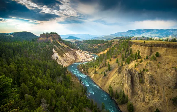 Trees, mountains, nature, river, Yellowstone National Park