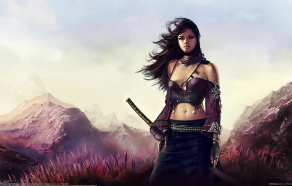 Picture grass, girl, landscape, mountains, the wind, sword, katana, art