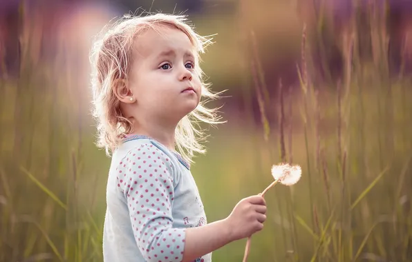 Picture summer, dandelion, girl