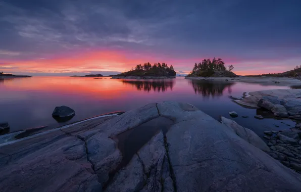 Picture trees, landscape, nature, stones, dawn, morning, Lake Ladoga, Ladoga