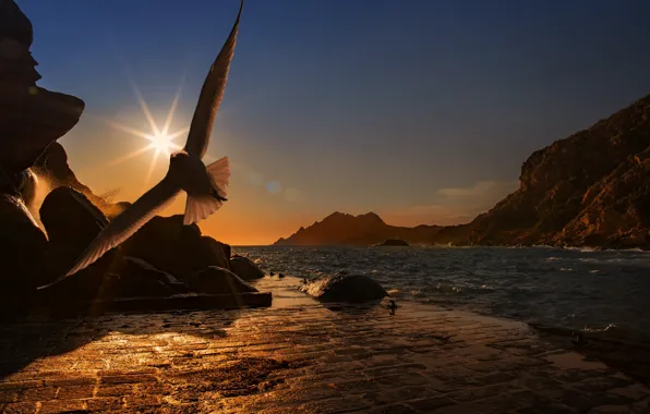 Picture sea, the sun, mountains, stones, bird, Seagull, the evening, flight