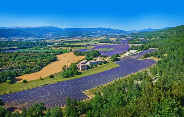 Picture field, forest, the sky, the sun, trees, mountains, France, panorama