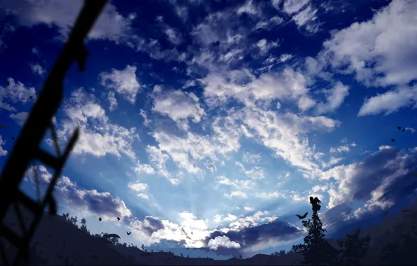 Picture the sky, clouds, nature, bird