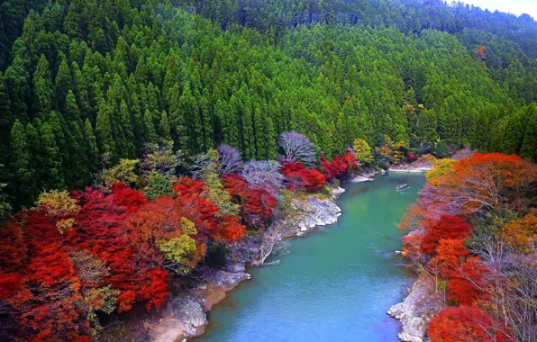 Autumn, trees, River, Bank, Japan.