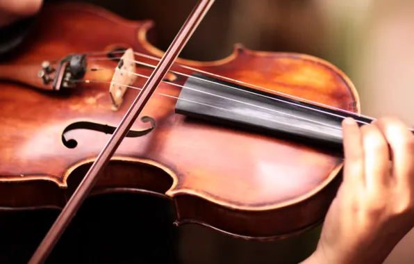 Music, Strings, The Violinist