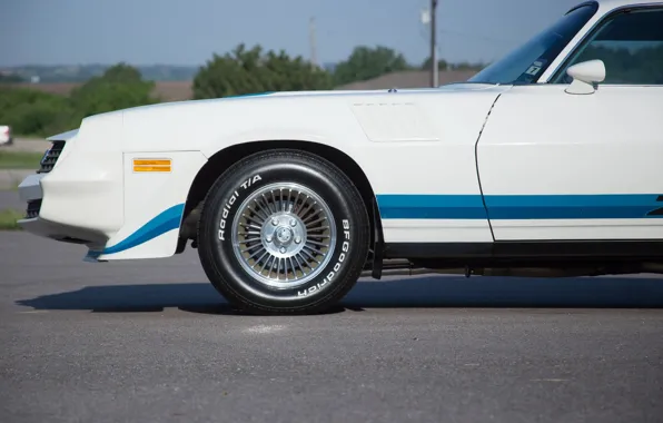 Camaro, chevrolet, z28, 1979
