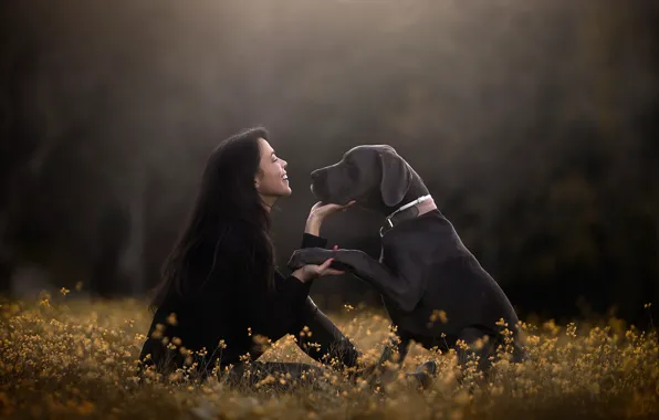 Picture girl, flowers, mood, paw, dog, friendship, friends