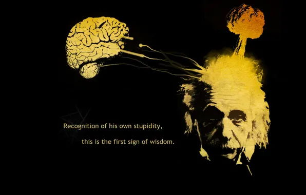 Text, abstraction, figure, thoughts, Albert Einstein, Einstein, scientist, Albert Einstein