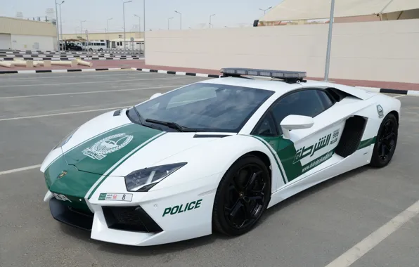 Picture lamborghini, police, dubai, aventador