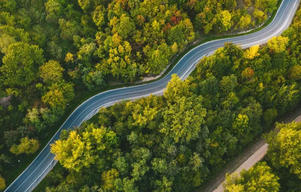 Road, forest, Lithuania, winding