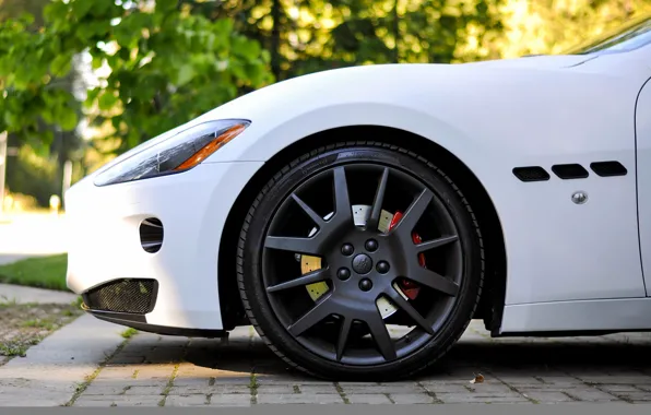 Picture white, Maserati, wheel, Matt, disk, granturismo, wheel, whitem matt