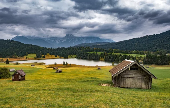 Field, autumn, forest, the sky, grass, clouds, mountains, clouds