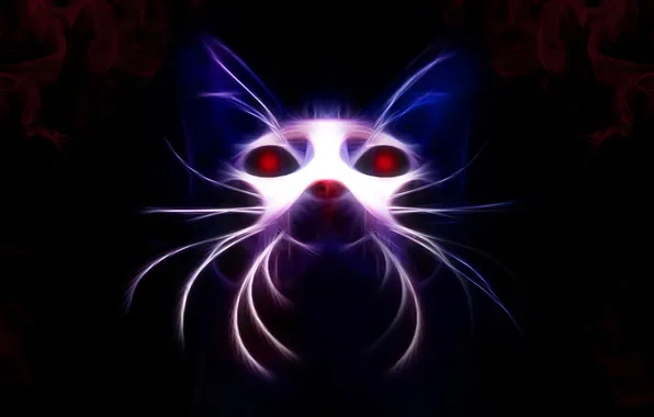 Cat, mustache, face, animal, head, ears