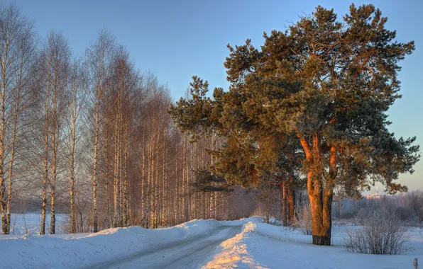 Winter, road, snow, trees, birch, the snow, pine