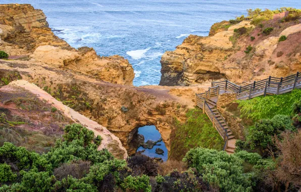 Picture sea, stones, rocks, coast, Australia, ladder, path, the bushes